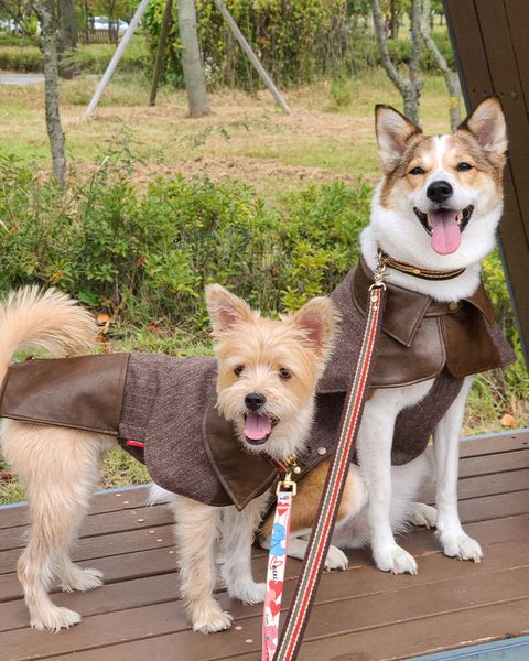 6a4c576faadc63480164d903930736f2