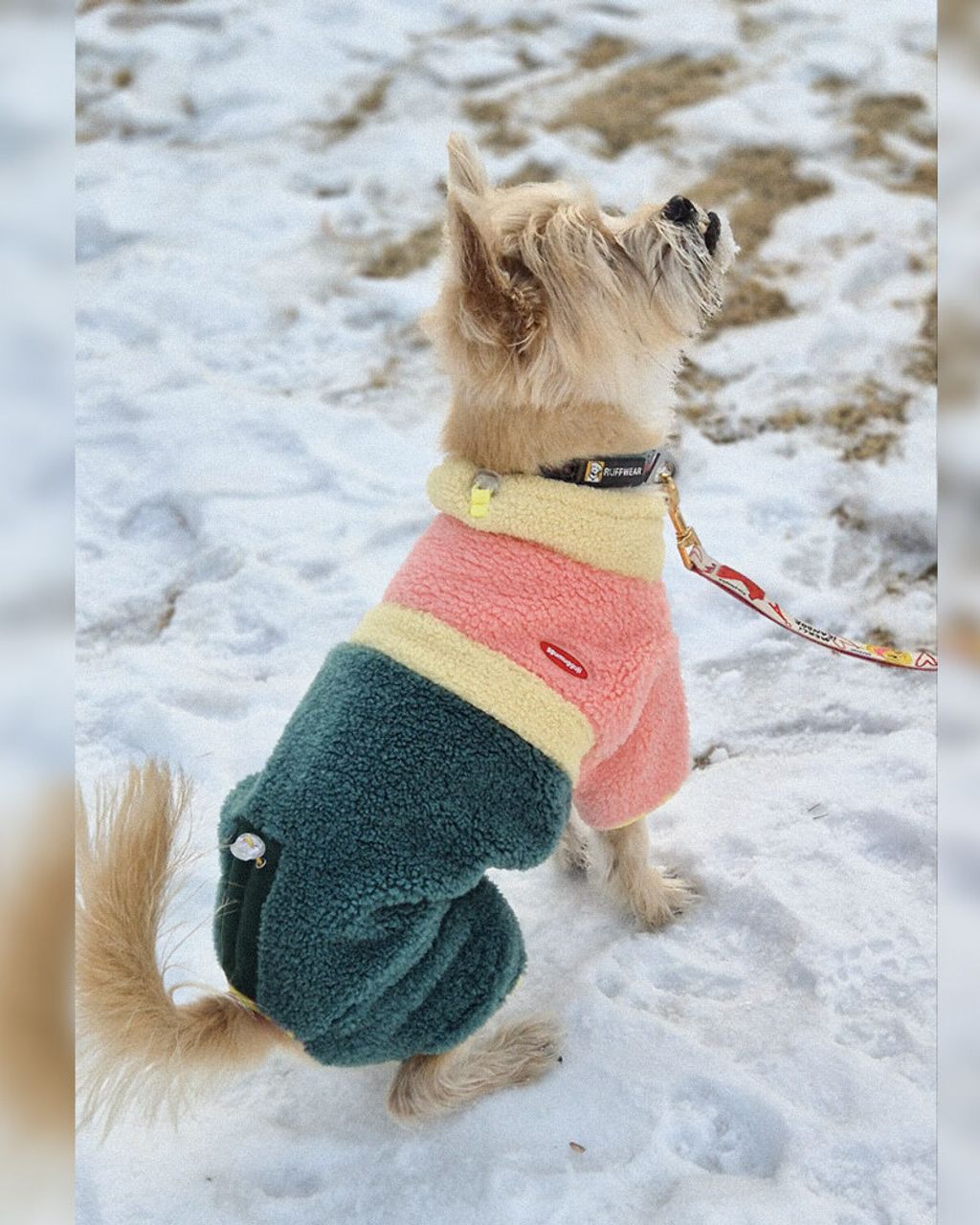 2f1bb7fa85da0b7a1101de2a5e1e71ee