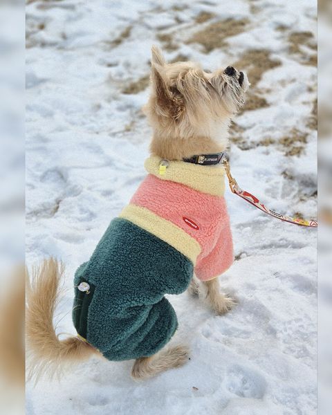 2f1bb7fa85da0b7a1101de2a5e1e71ee