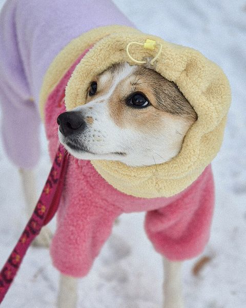 eaabe4cab20e18ec80d38ce5c022d2a8