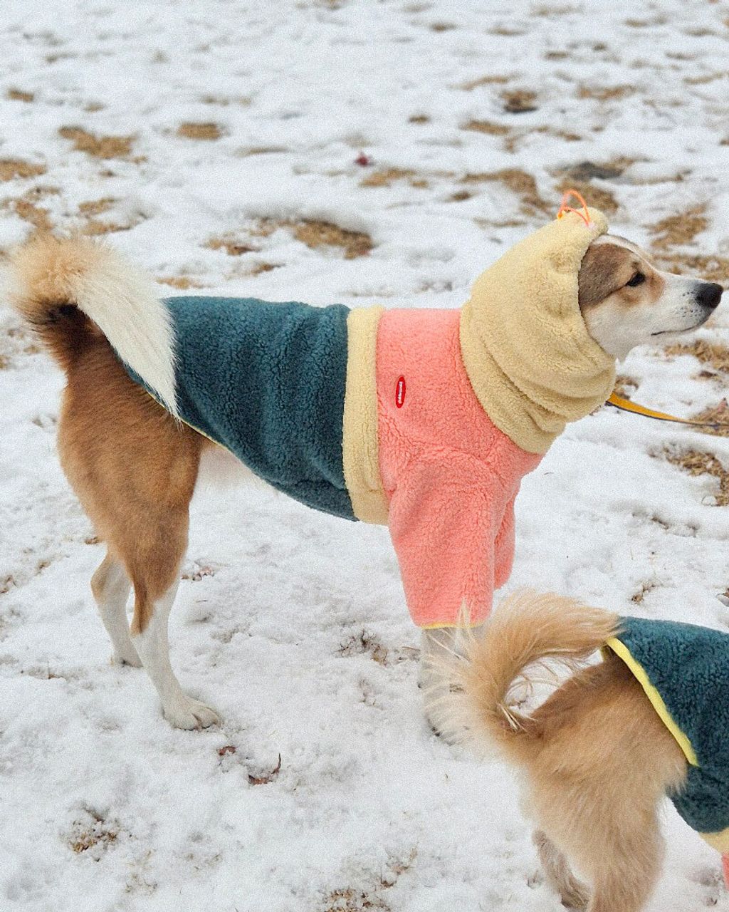 dc8f2534d357e6d5d8de48a7ad1e26d3