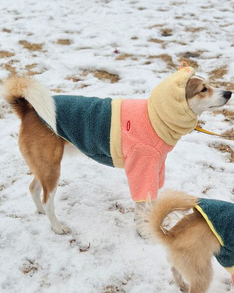 dc8f2534d357e6d5d8de48a7ad1e26d3