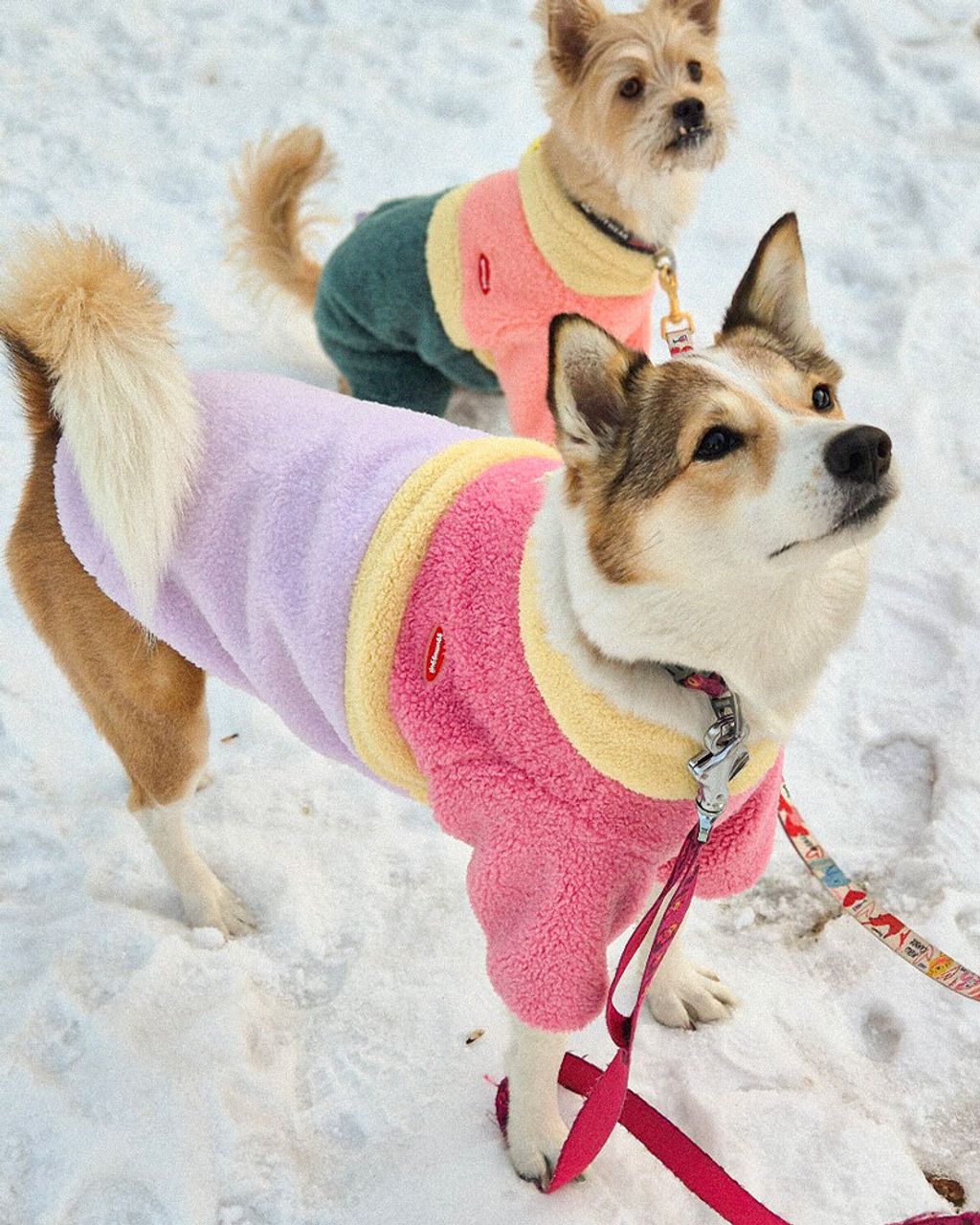 6ab2c6a480bd08c014cbe6fb957d539d