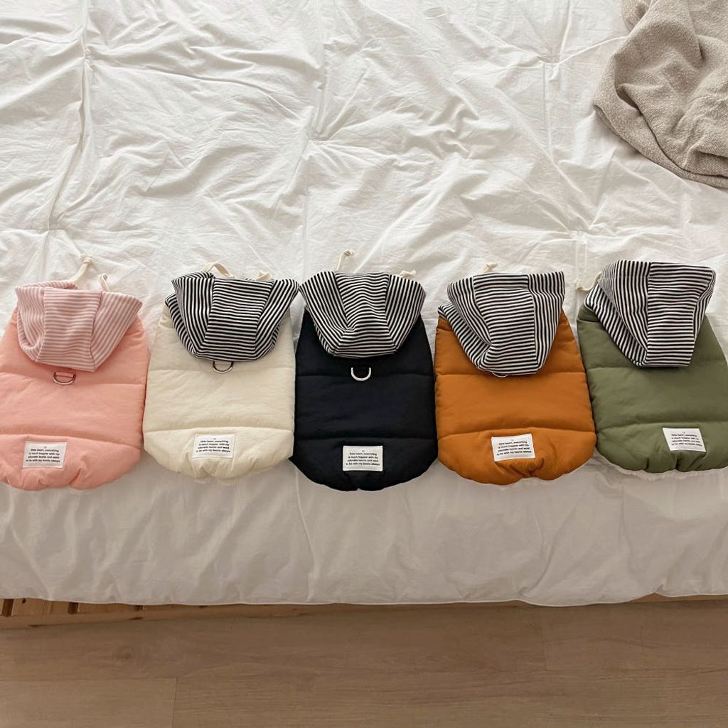 image_43909C03-8D26-4868-BA0C-1DEABD8A0BC9_1762865111