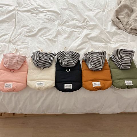 image_43909C03-8D26-4868-BA0C-1DEABD8A0BC9_1762865111