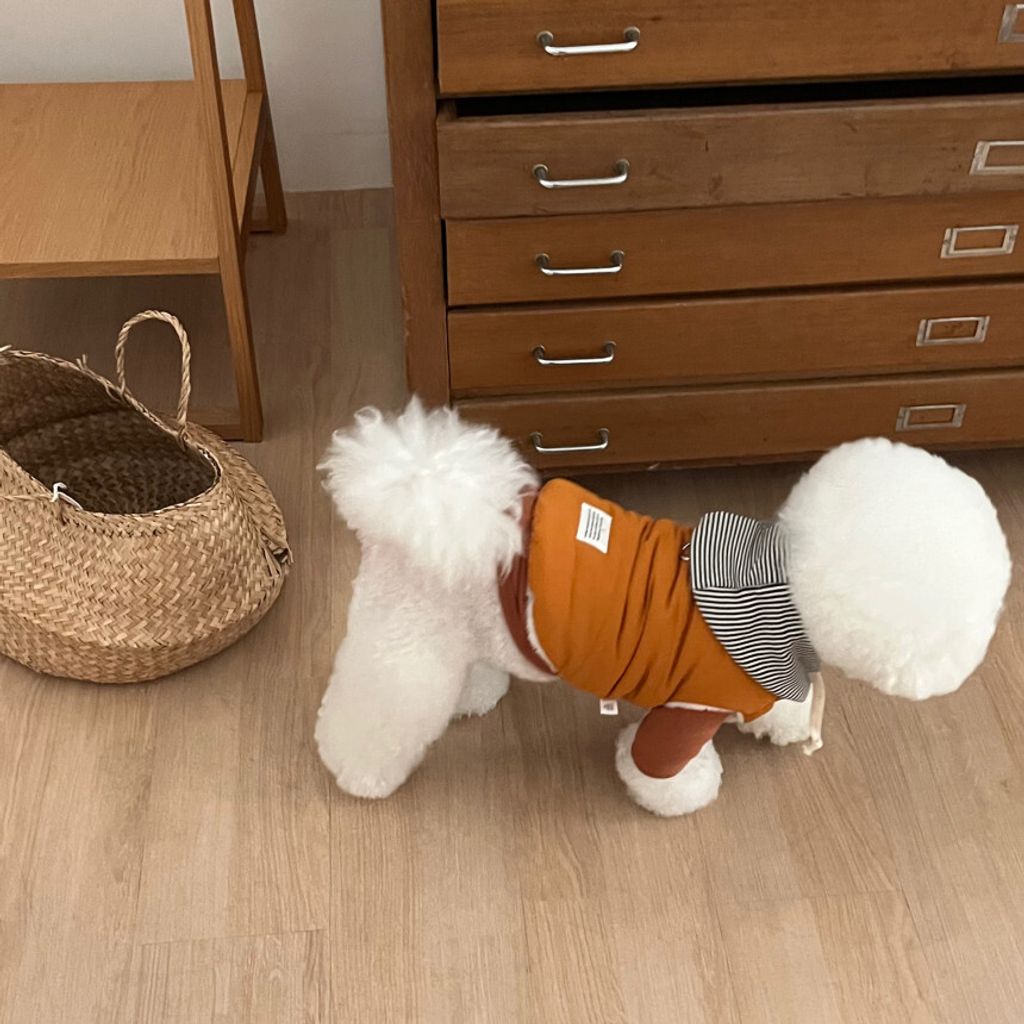 image_19248CB8-A997-4654-BB6E-5BDCCF8858AA_1762865111