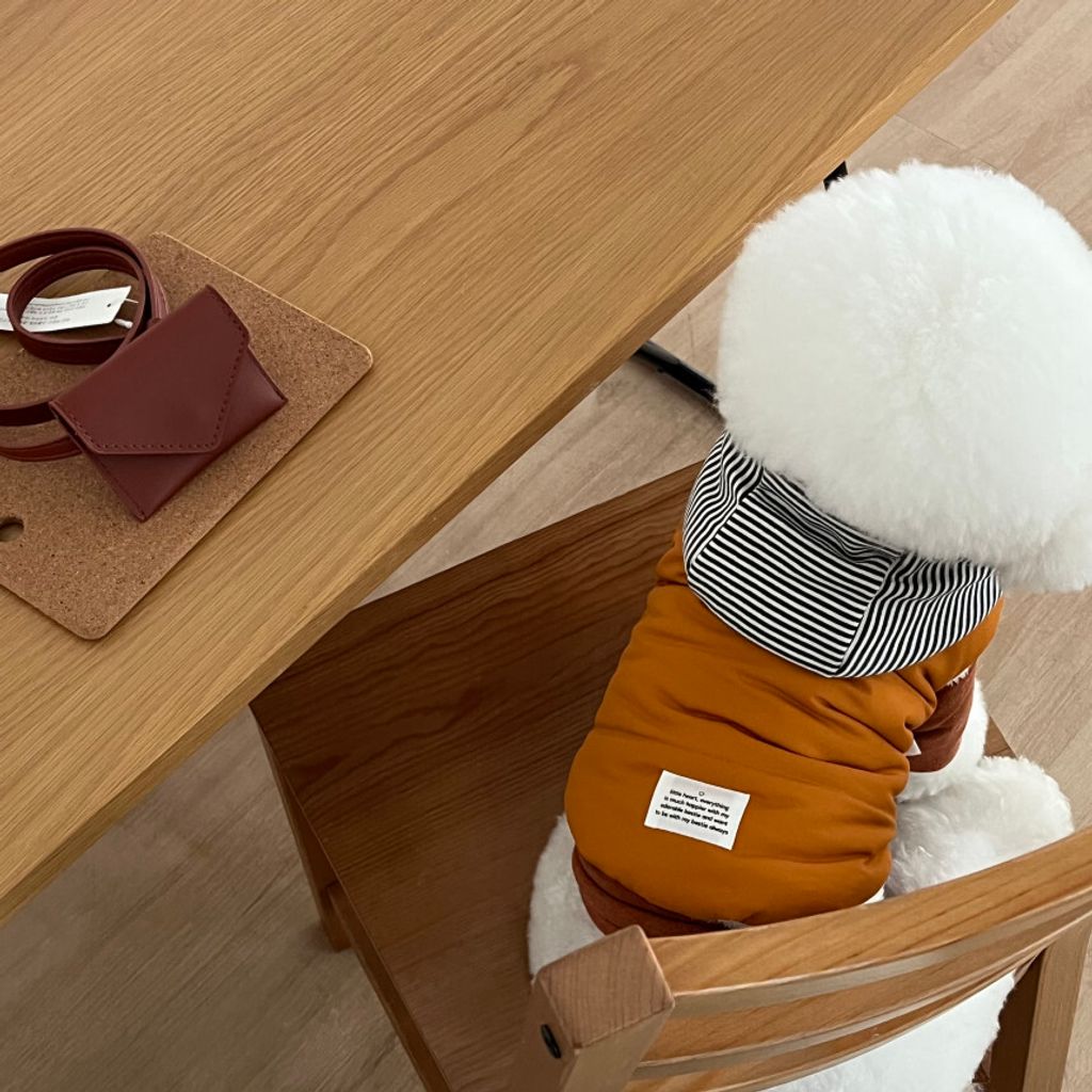 image_584C1284-B0C4-470C-B098-B7A38097EBE1_1762865111