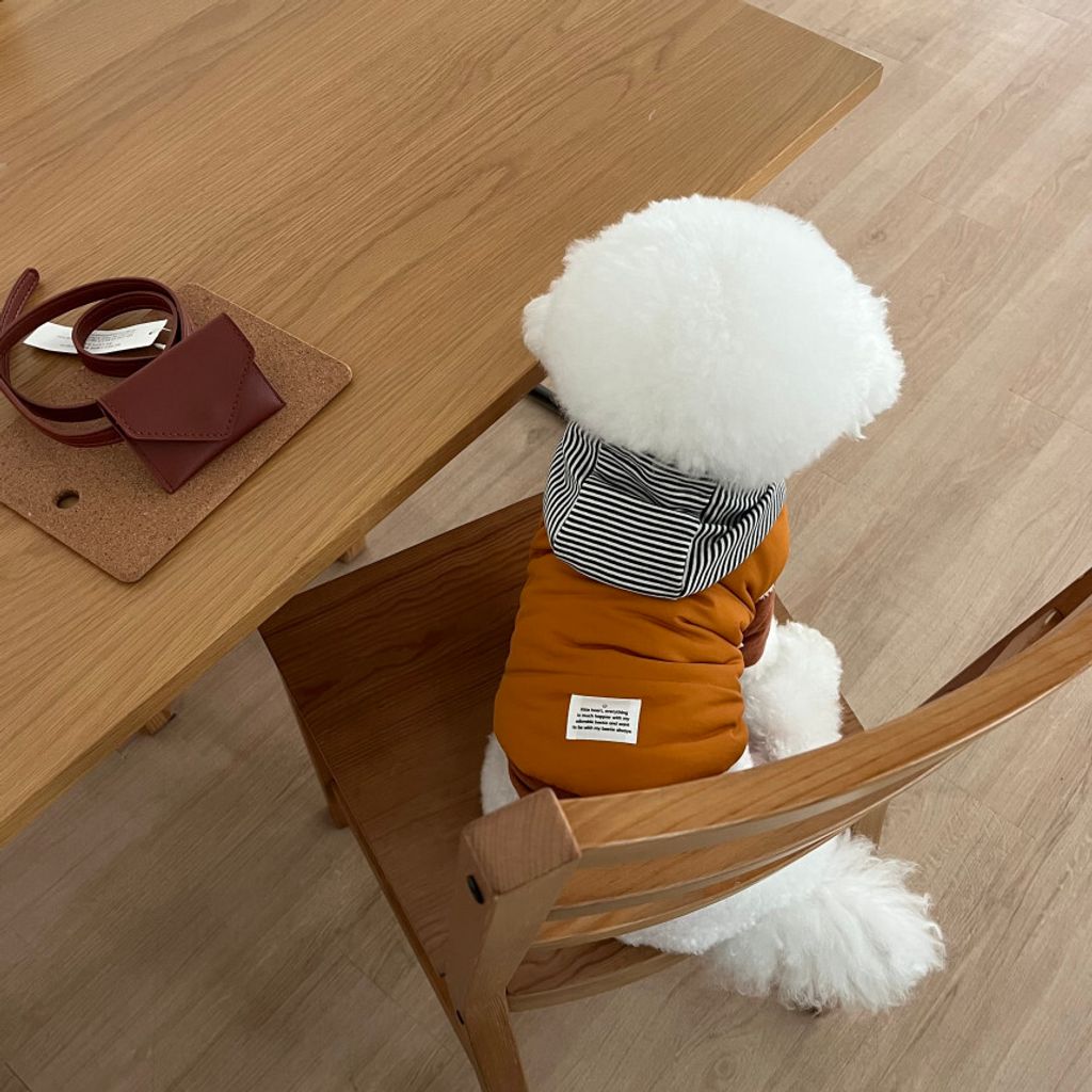 image_EFCC8009-0095-4B85-AB8F-FF7E0AEF8227_1762865111