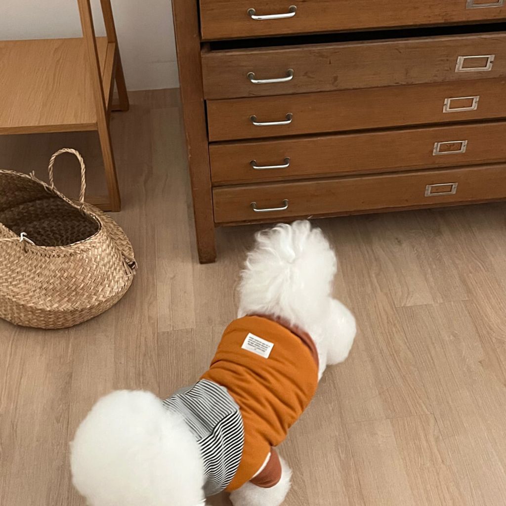 image_1A248EF3-2353-407A-BB22-0BA092D9D62C_1762865111