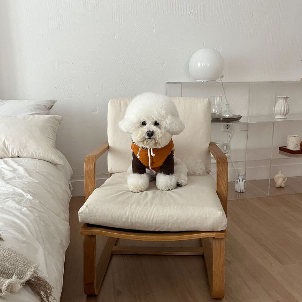 image_4E4DE770-1B21-4262-B19B-EDC19749E606_1762865111