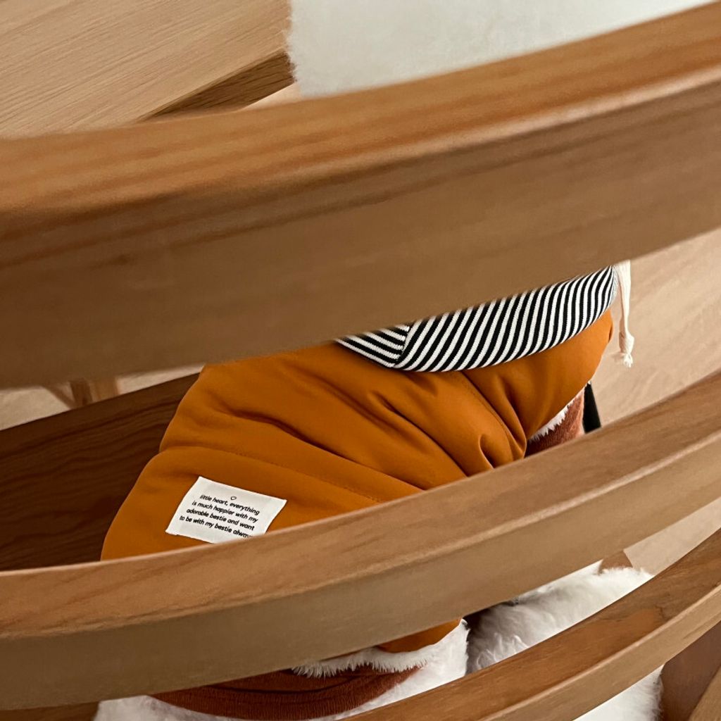 image_29A32467-D5F7-4ADF-B32F-05098FAFE682_1762865111