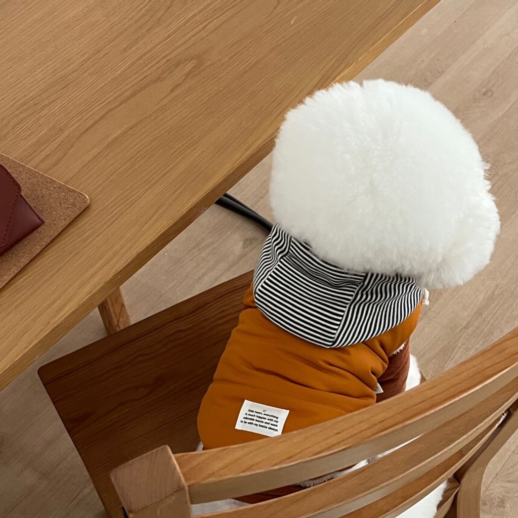 image_E169A037-44C3-4B14-B73D-E0765715C124_1762865111