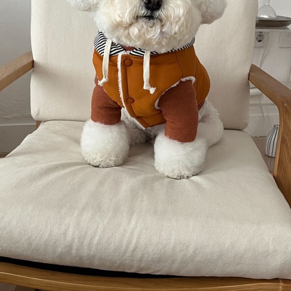 image_F7CB6793-3F74-49AE-8365-94CCC868F446_1762865111