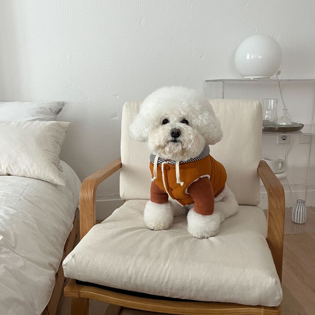 image_FB566617-9B28-4DED-A147-2A2474233423_1762865111