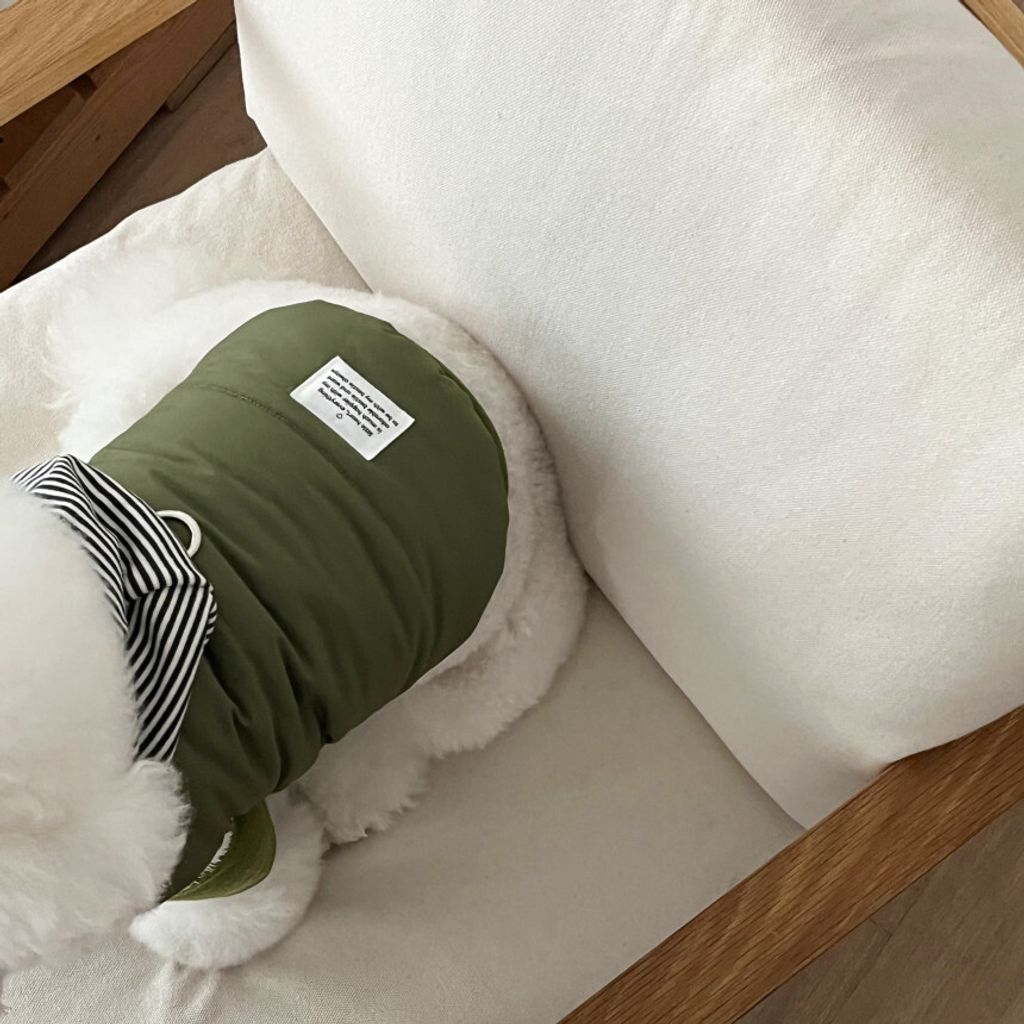 image_DFF82B0B-9225-4DDD-9FB8-39BC0427DBFC_1762865111