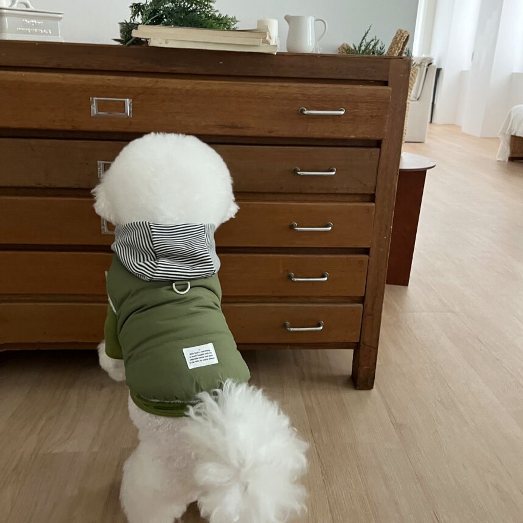 image_EF57BEFD-F4F1-423A-9956-28B5614C659D_1762865111