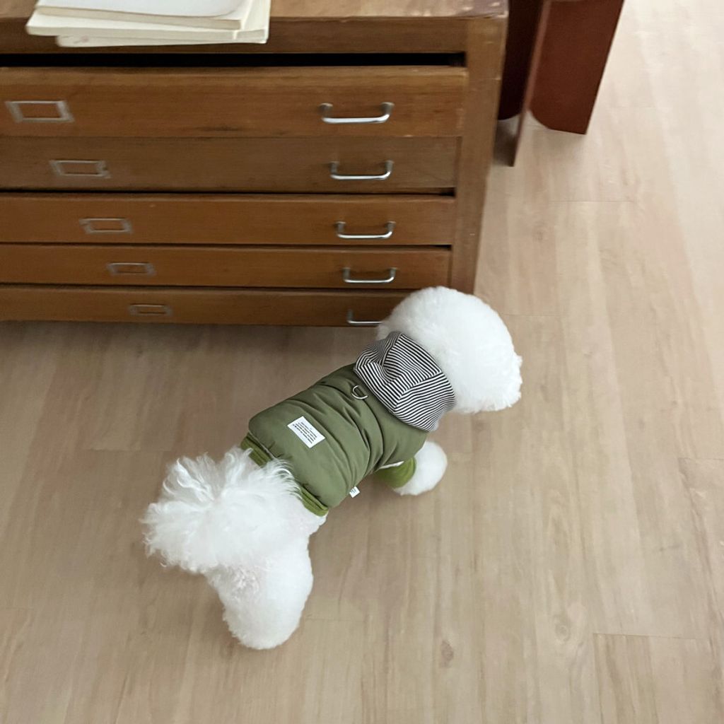 image_8A348B7F-CA15-47BB-81DD-659680A3AA77_1762865111