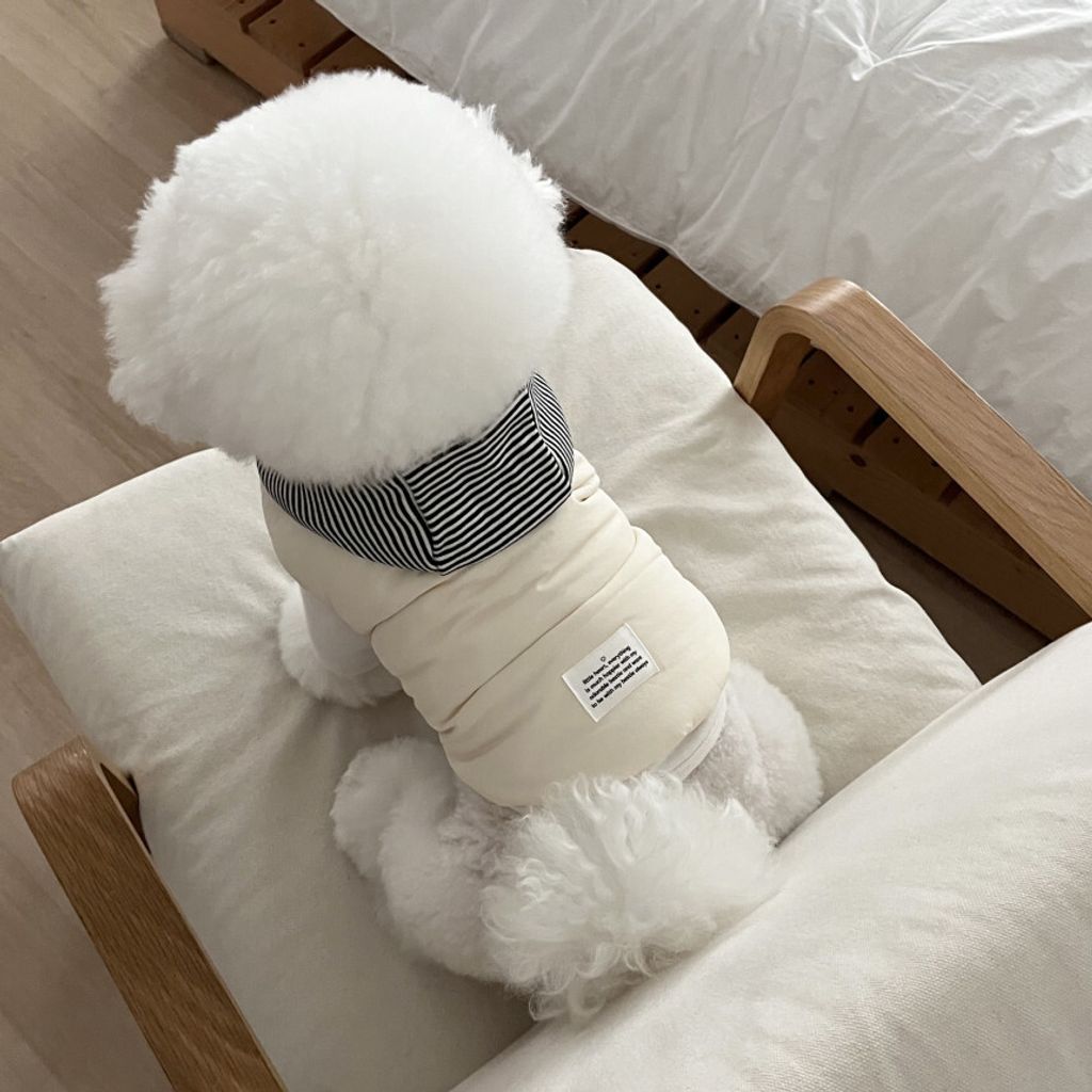 image_5D3D6882-ED31-4EEE-9B2E-13335915E496_1762865111