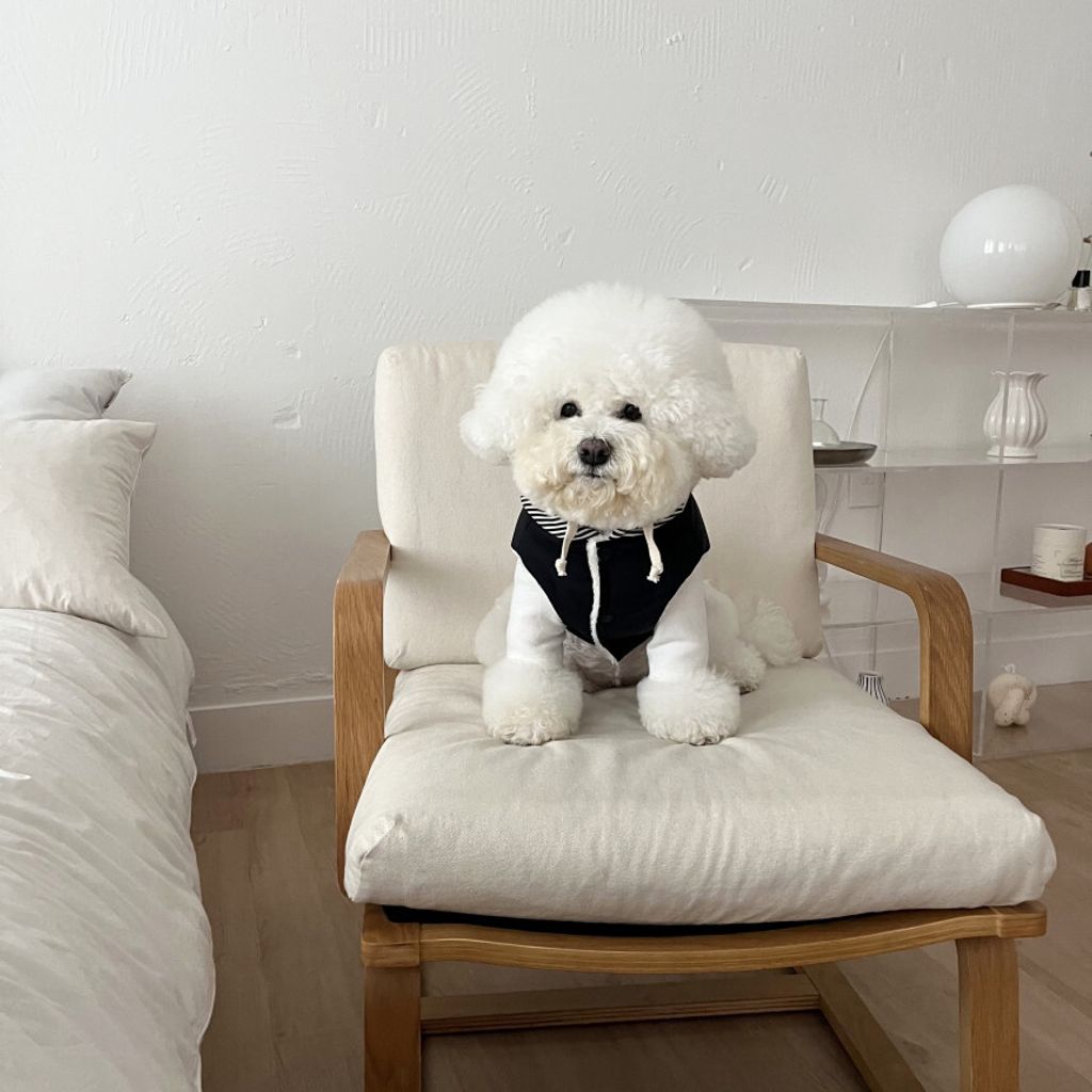 image_EF434A4C-9490-4154-A1D0-3EB270092ABD_1762865111