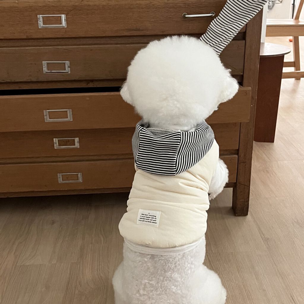 image_CCE84ED5-7396-447E-8BDF-46ED6DC8D8A3_1762865111