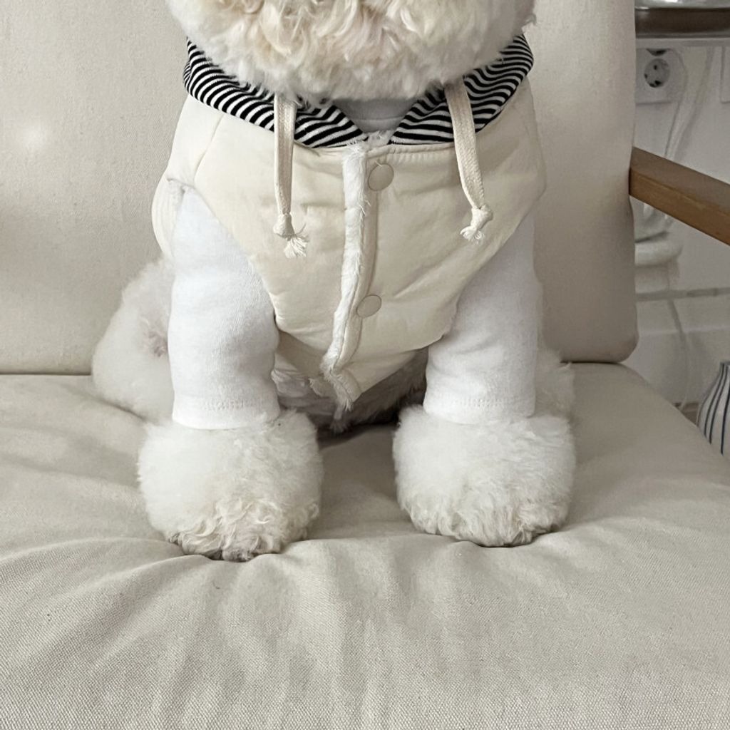 image_3FD00E67-F24E-4B2D-B4FC-0D7DC16235EC_1762865111