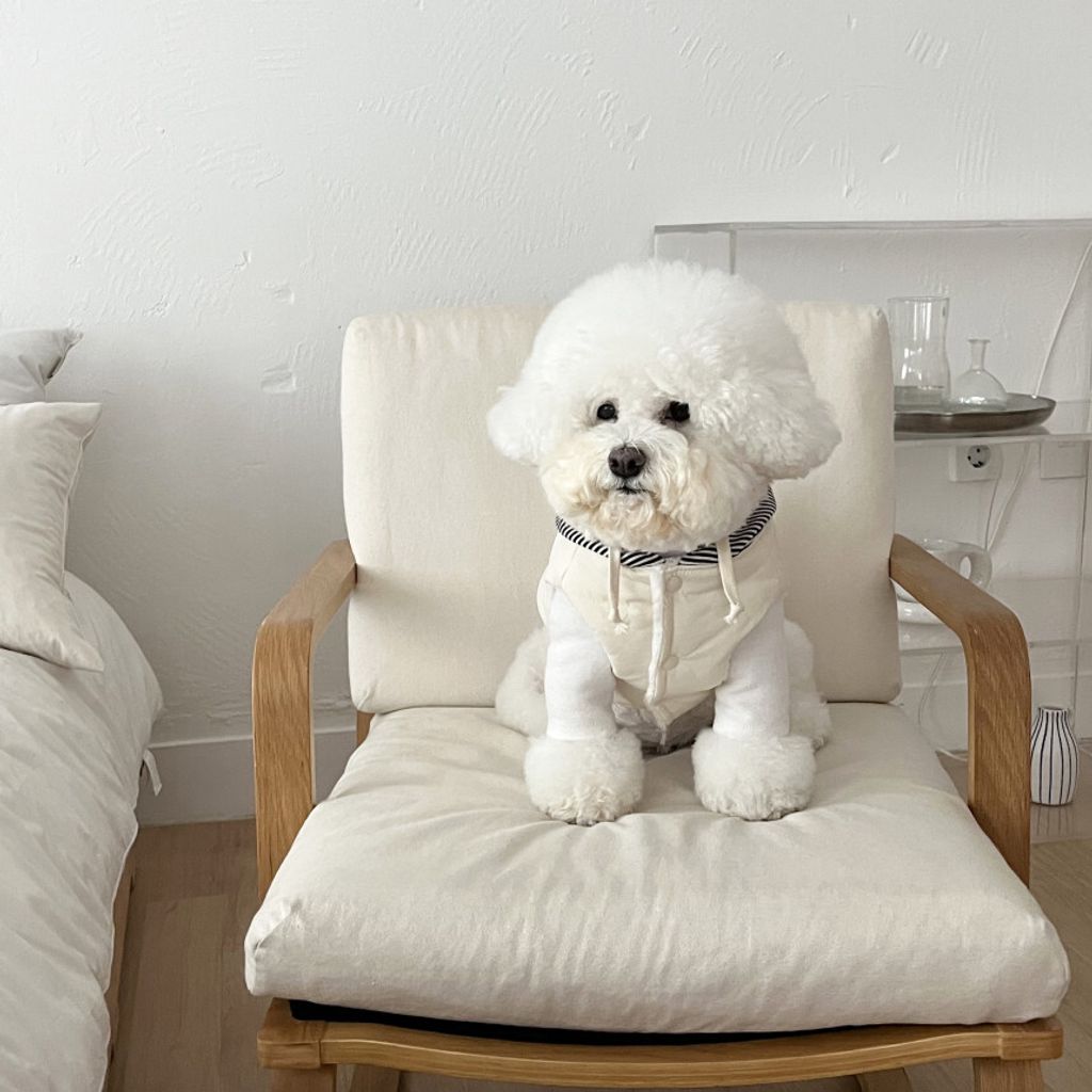 image_657A692C-39BD-4BB6-A1AD-47E93817C8B3_1762865111