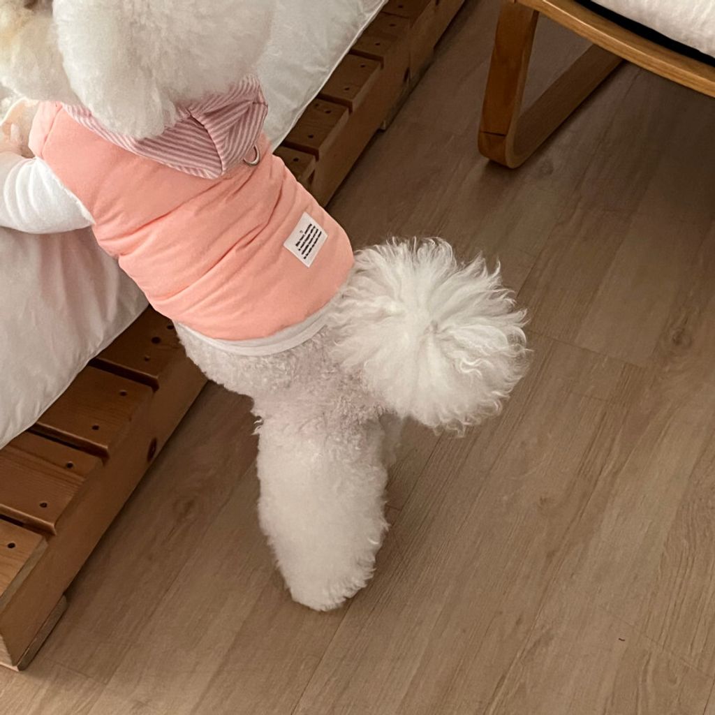 image_18BF5584-F6CE-4892-9ADC-BB6B6972EEE3_1762865111