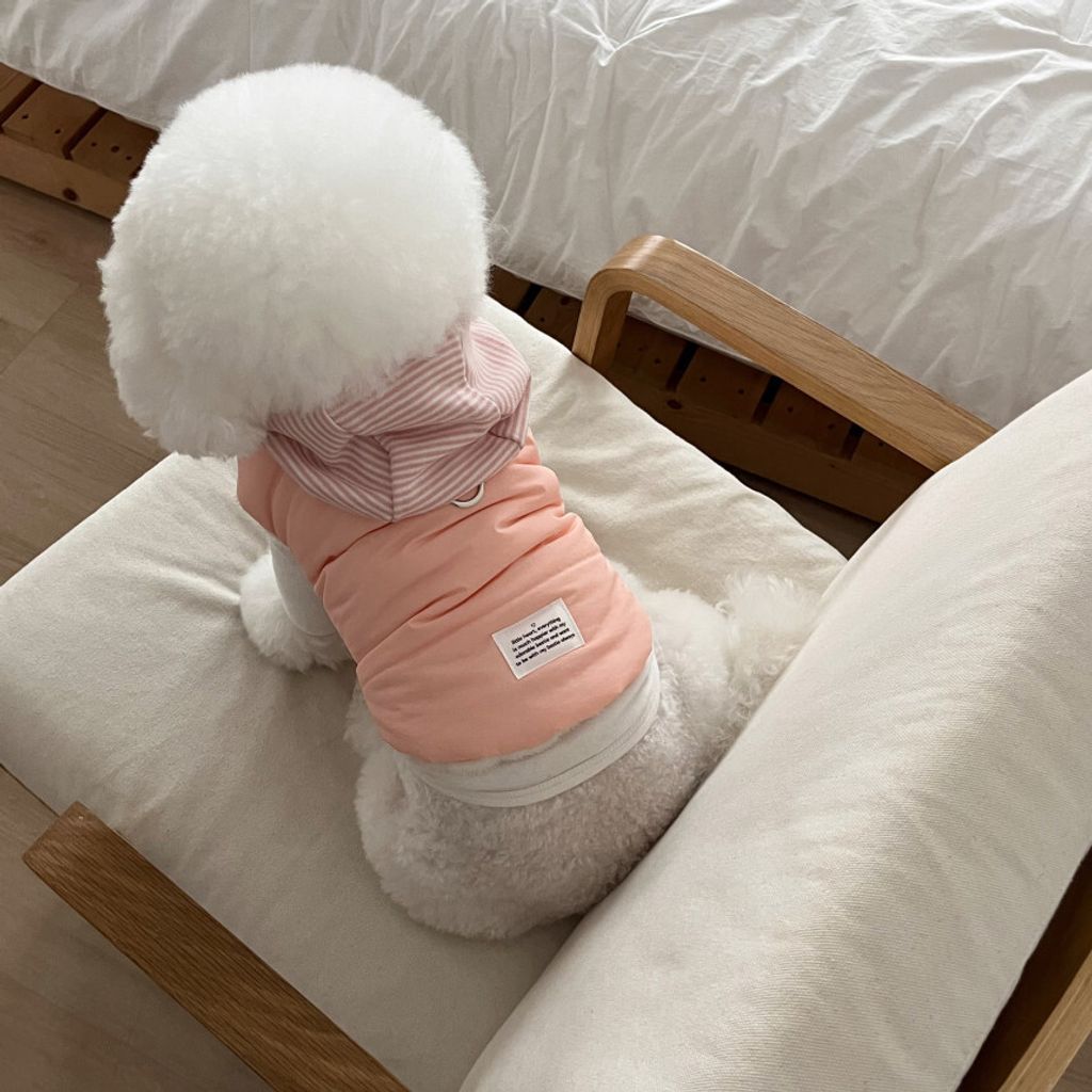 image_B5A8A23F-CD89-455F-BD39-CAFC7F0DB8B1_1762865111