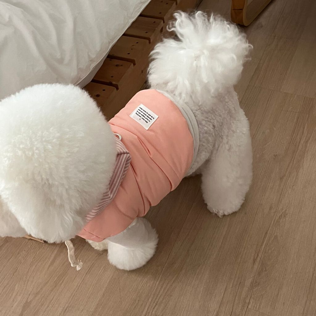 image_D5554C90-BE70-4F8A-A118-AA823ED64519_1762865112