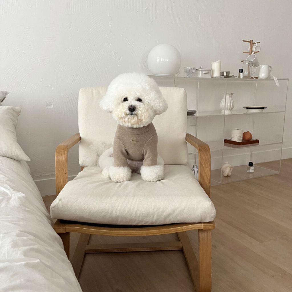 image_514BB18F-272F-4E77-BDEB-457A23BDA0E6_1762865598