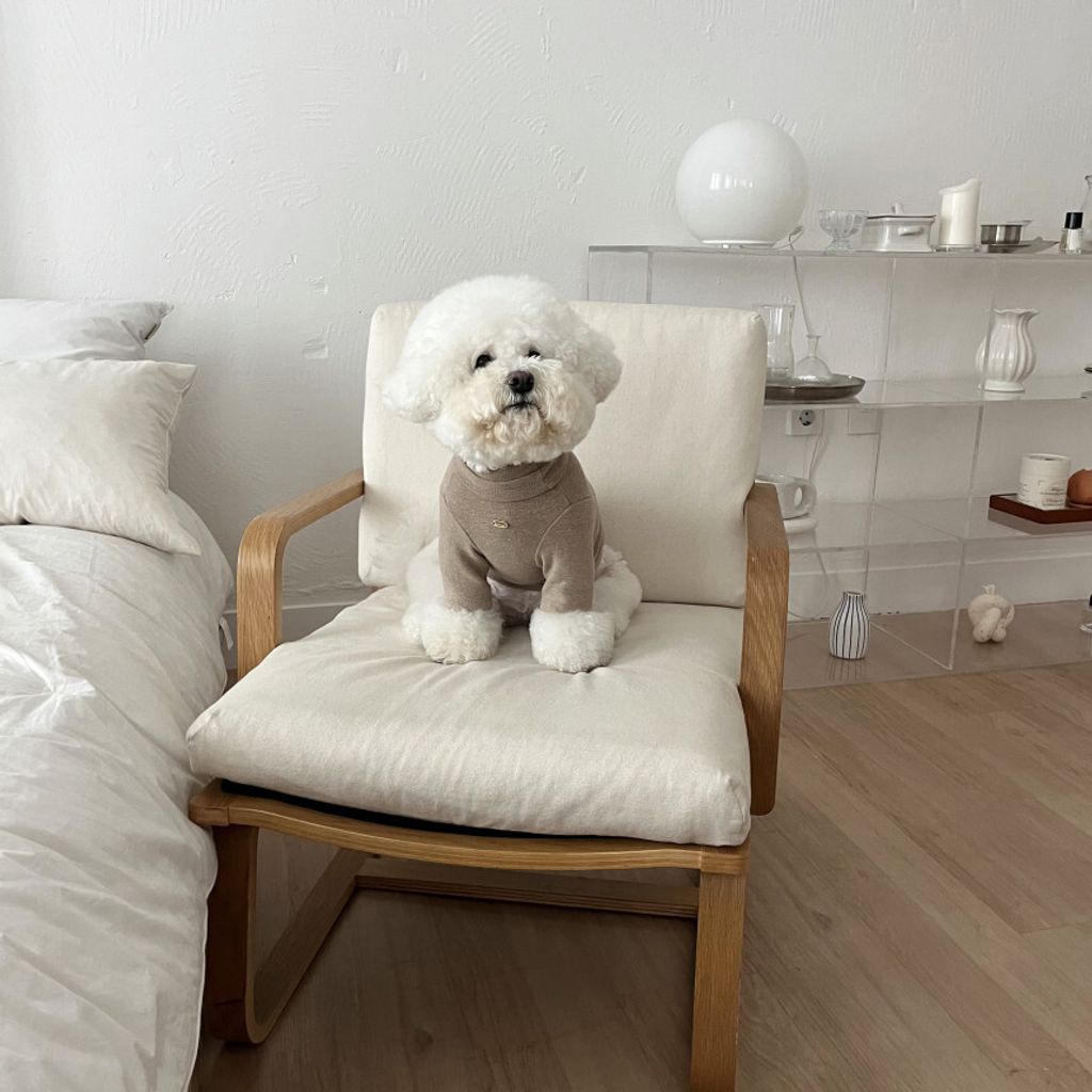 image_B57D7B3B-2E45-466C-9784-A0B064B81534_1762865598