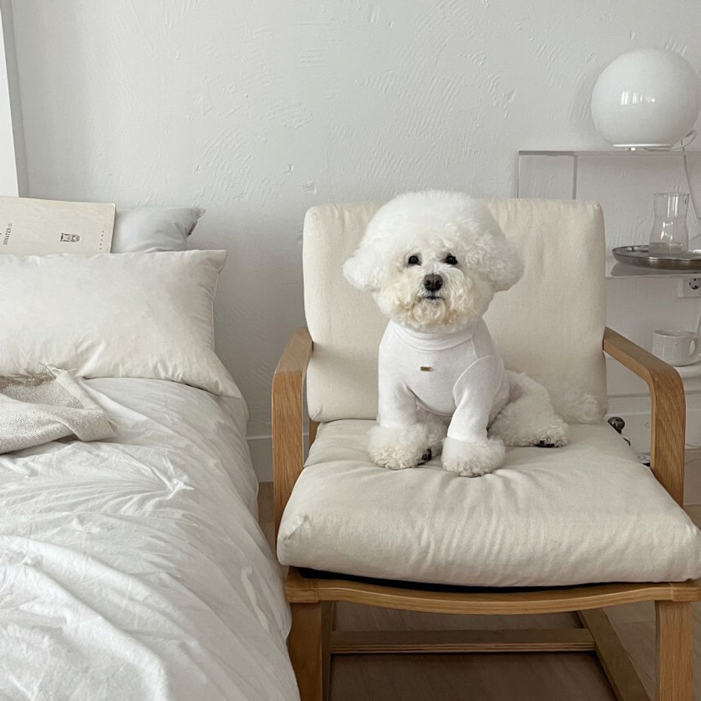 image_3E867653-0955-4ED0-8A85-FC659F9181BA_1762865598