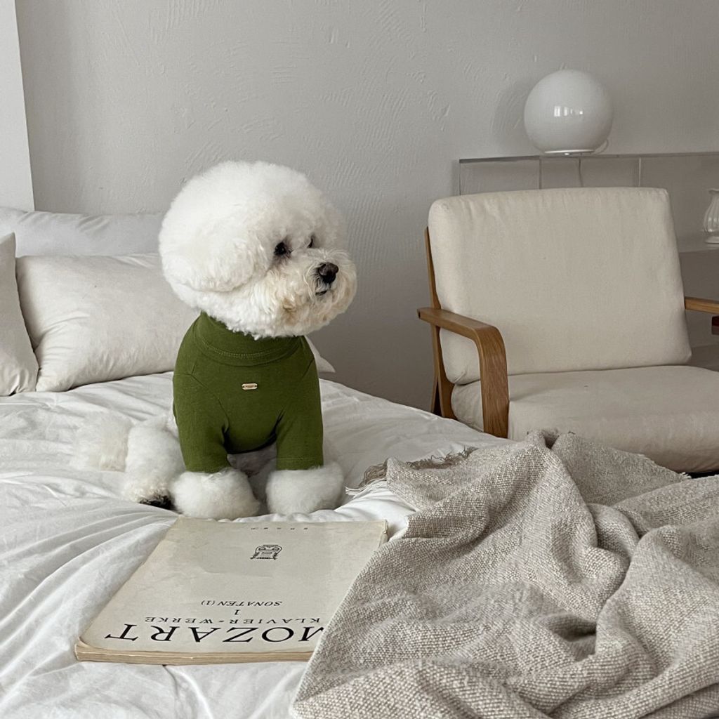 image_7A5CEA02-2646-4D36-BEA6-C3AC3A98DCAB_1762865598