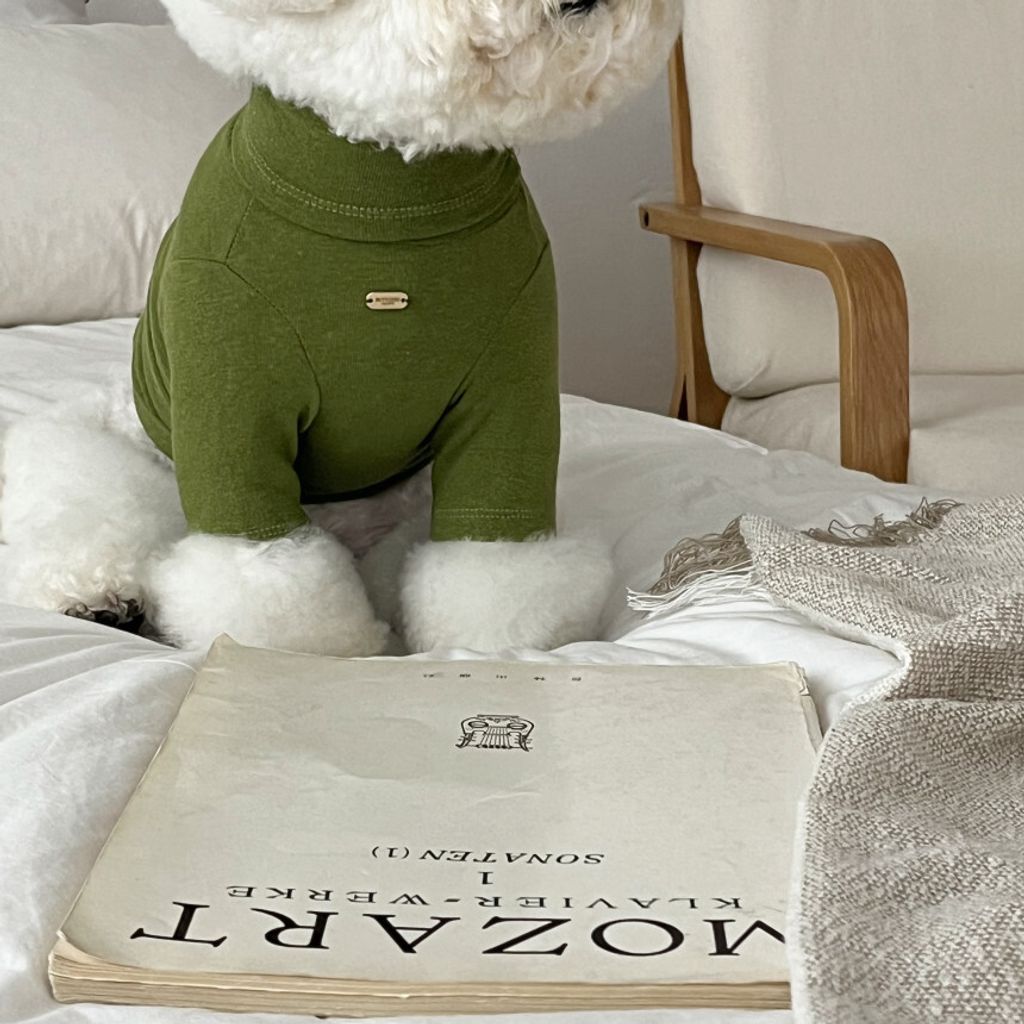 image_7F3794D3-39BA-4C0A-88D5-B4FDC8A91F03_1762865598