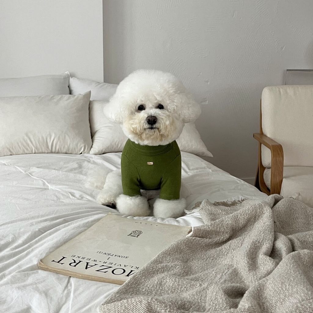 image_5AD137B1-2B1C-466F-A096-43CC90925D83_1762865598