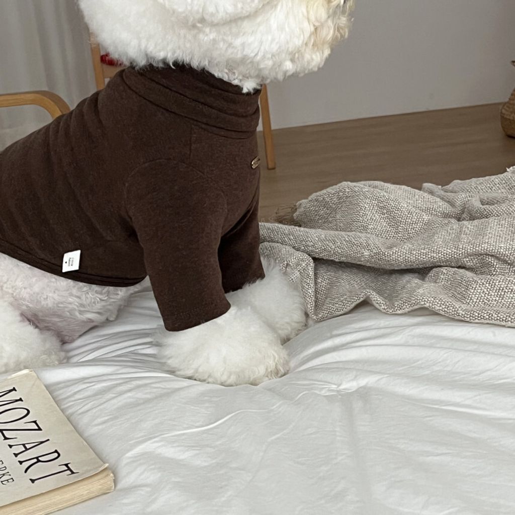 image_C89AF44F-F2F4-402B-87EB-046E8E93E4C5_1762865598