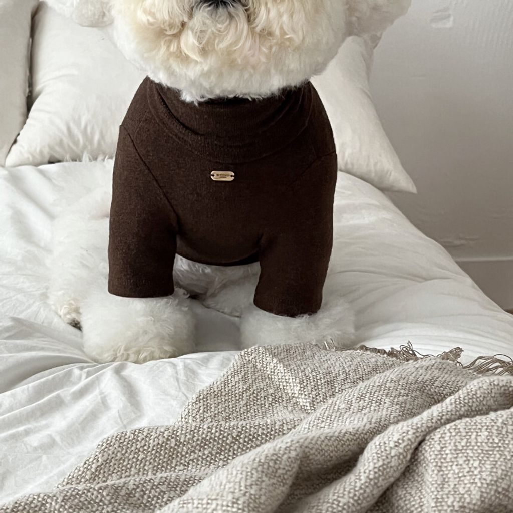 image_1E2A8E8F-8D1F-4BB7-A444-2C627E9DE5B5_1762865598