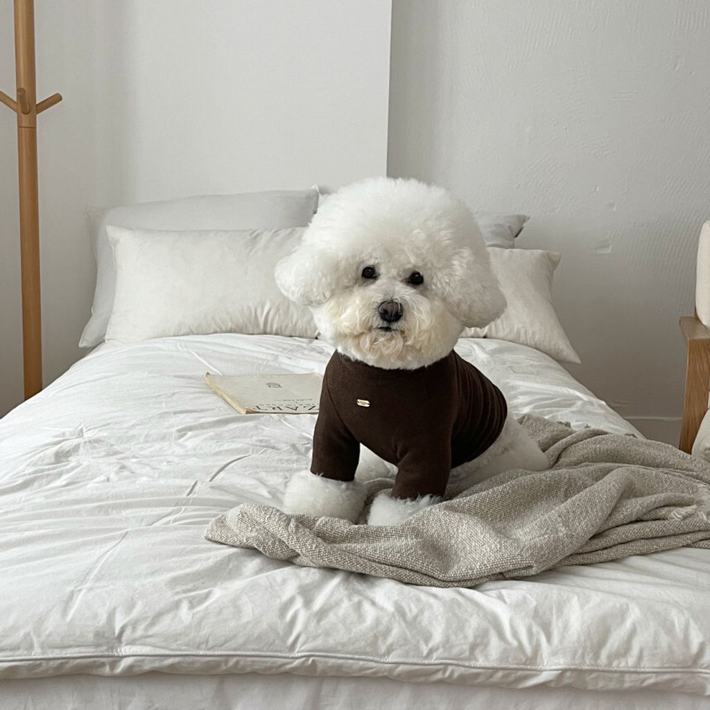 image_C8534363-8E49-473E-BA7C-FE14D30A13E7_1762865598