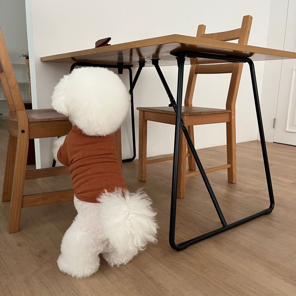 image_7FAC00CB-97D7-4574-A440-2285A9C0E087_1762865598