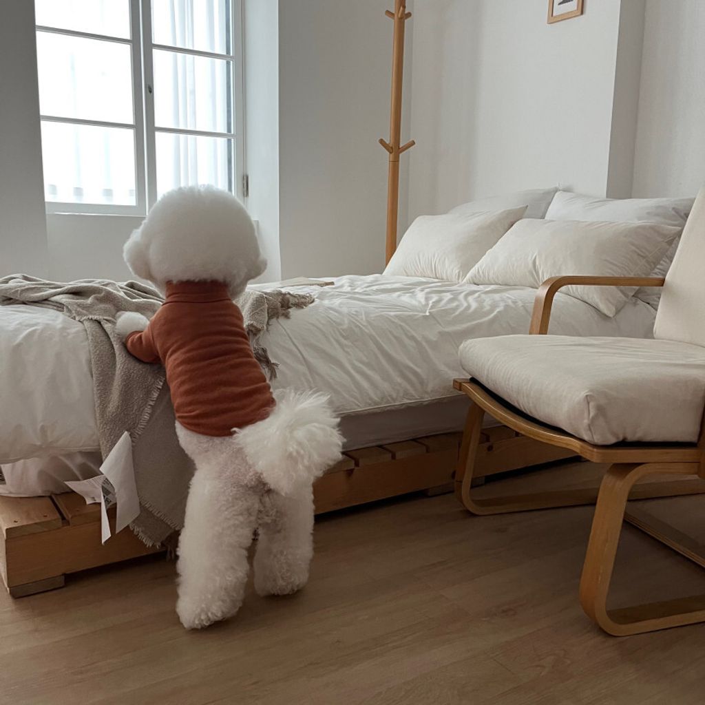 image_0435CC0A-A15B-4C93-89ED-68E3356DC0CE_1762865598