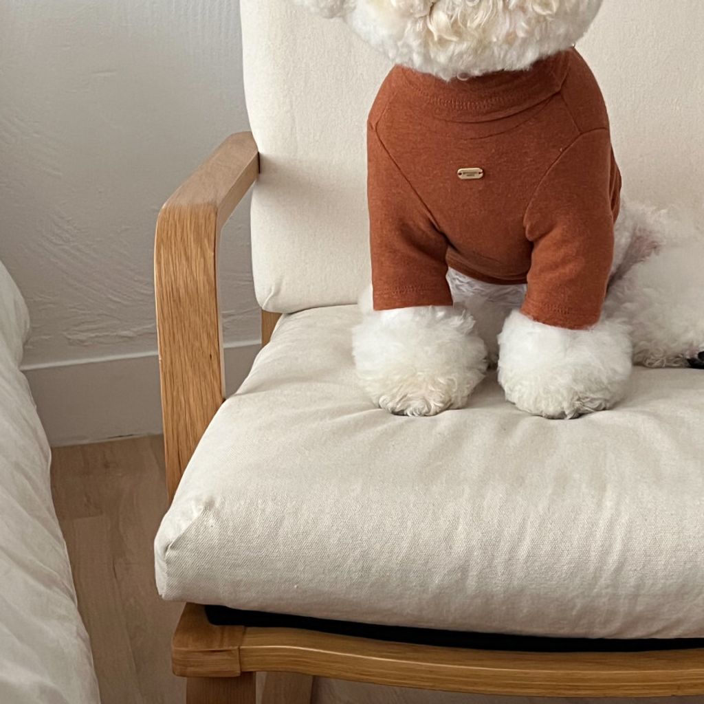 image_9757DAC7-0240-40B2-B217-CDEFB5FAFC5F_1762865598