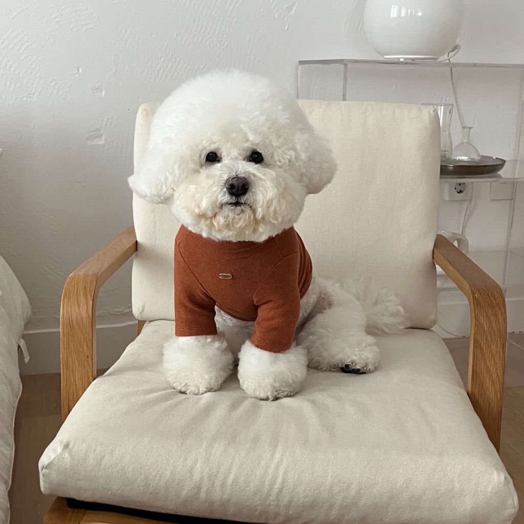 image_1FC32EF0-28AA-4C18-B014-0CFD6C7B8724_1762865598