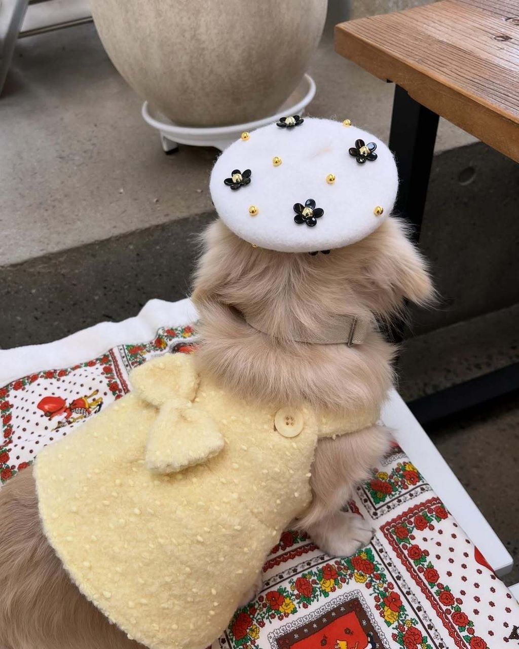 @miracle_hoonsooni - R⤓Download-1740468697226