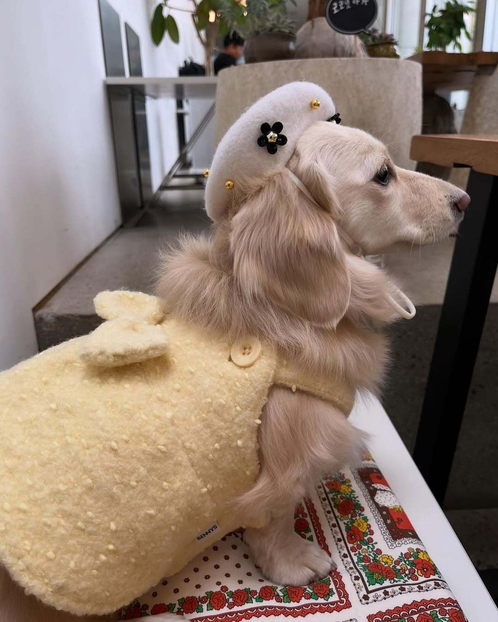 @miracle_hoonsooni - R⤓Download-1740468697231