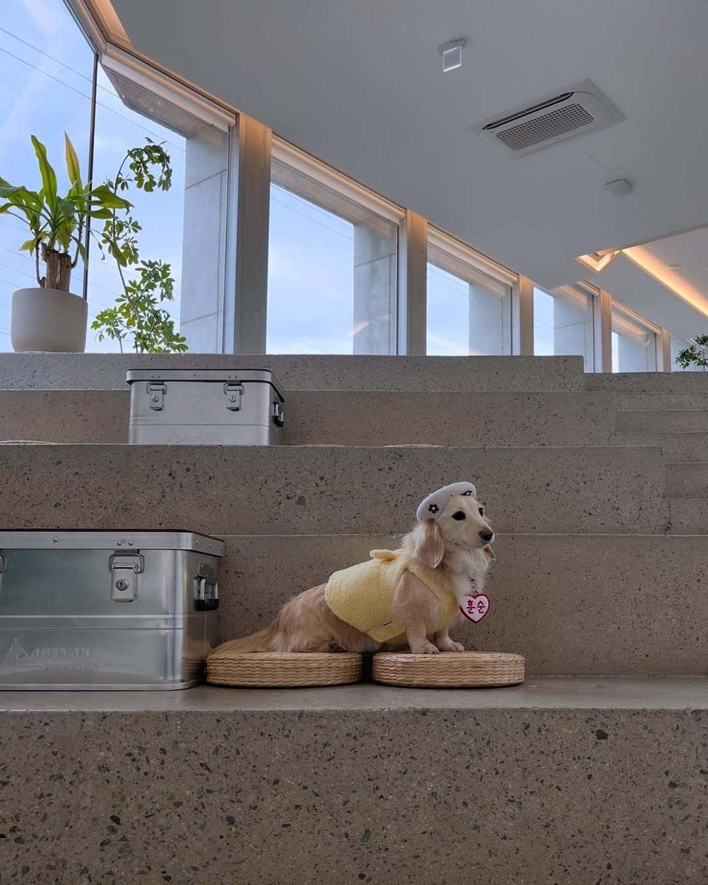 @miracle_hoonsooni - R⤓Download-1740468697228