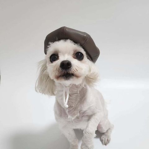 @gaesobee - R⤓Download-1735119874485