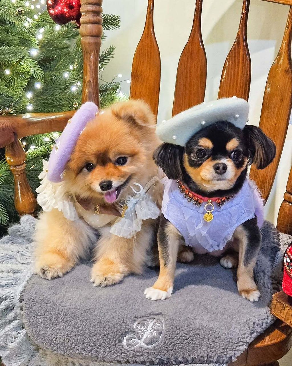 image_79902F4D-0153-41DD-A656-1272B9D347F1_1762944998