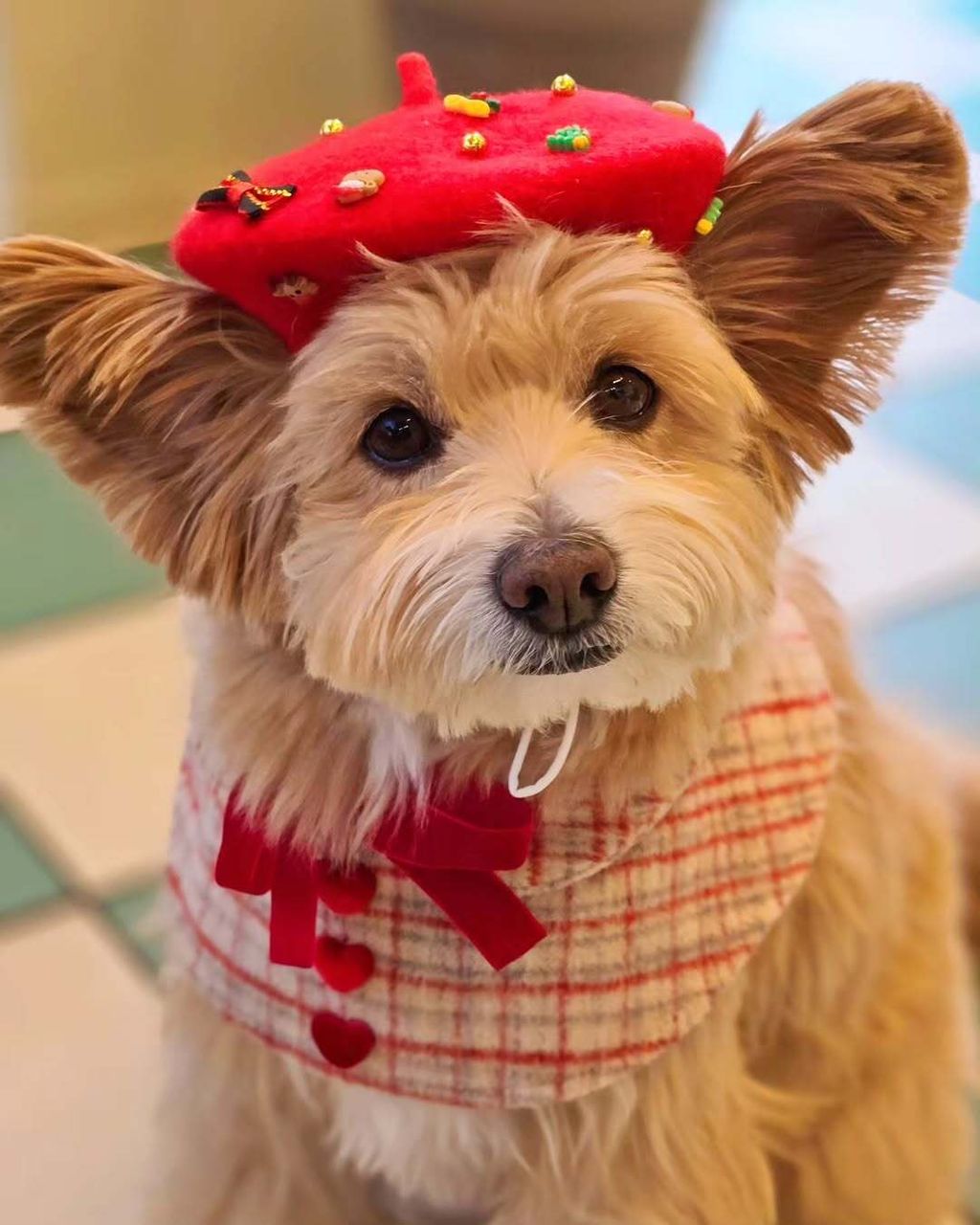 image_8E3DD8FC-D7FC-4495-9B5F-58B4286F45FA_1762945018