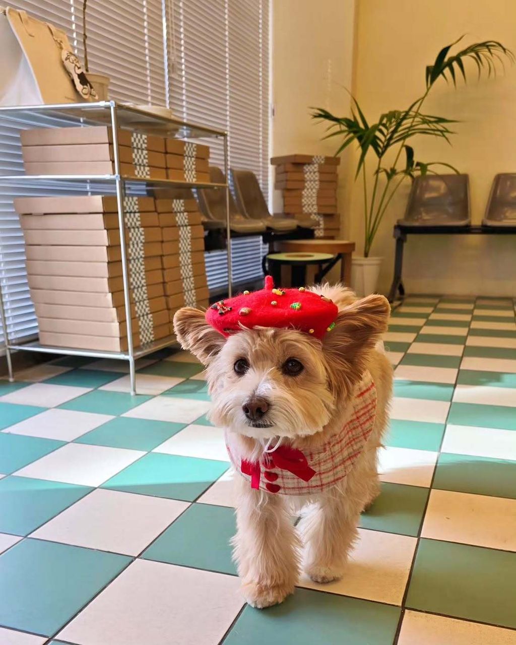 image_D28A7C39-3D6E-40EC-AE98-C36820B5341A_1762945018