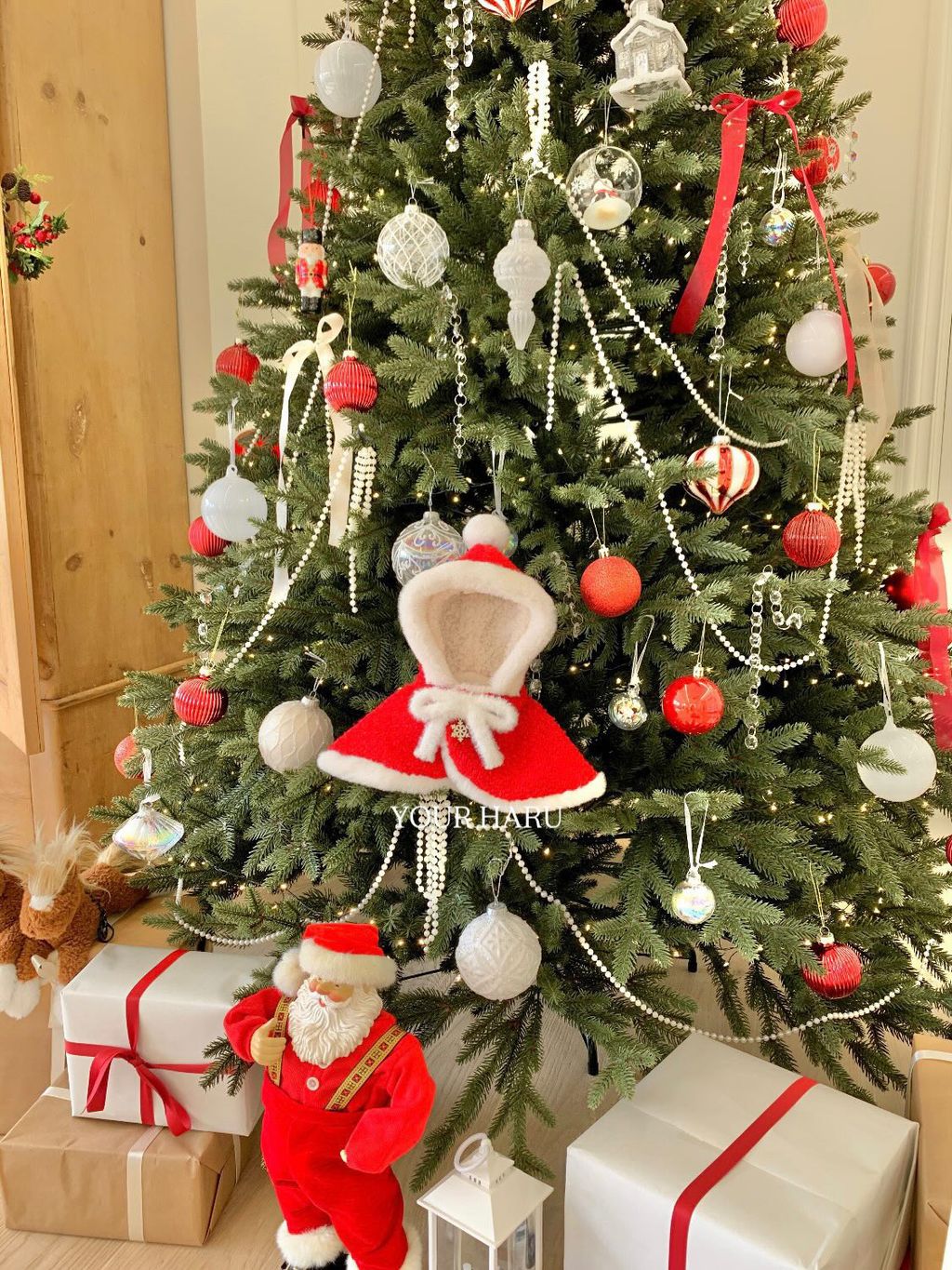 image_387E248D-72B0-4546-87F5-37E768972E8C_1763042310